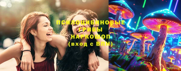 винт Струнино